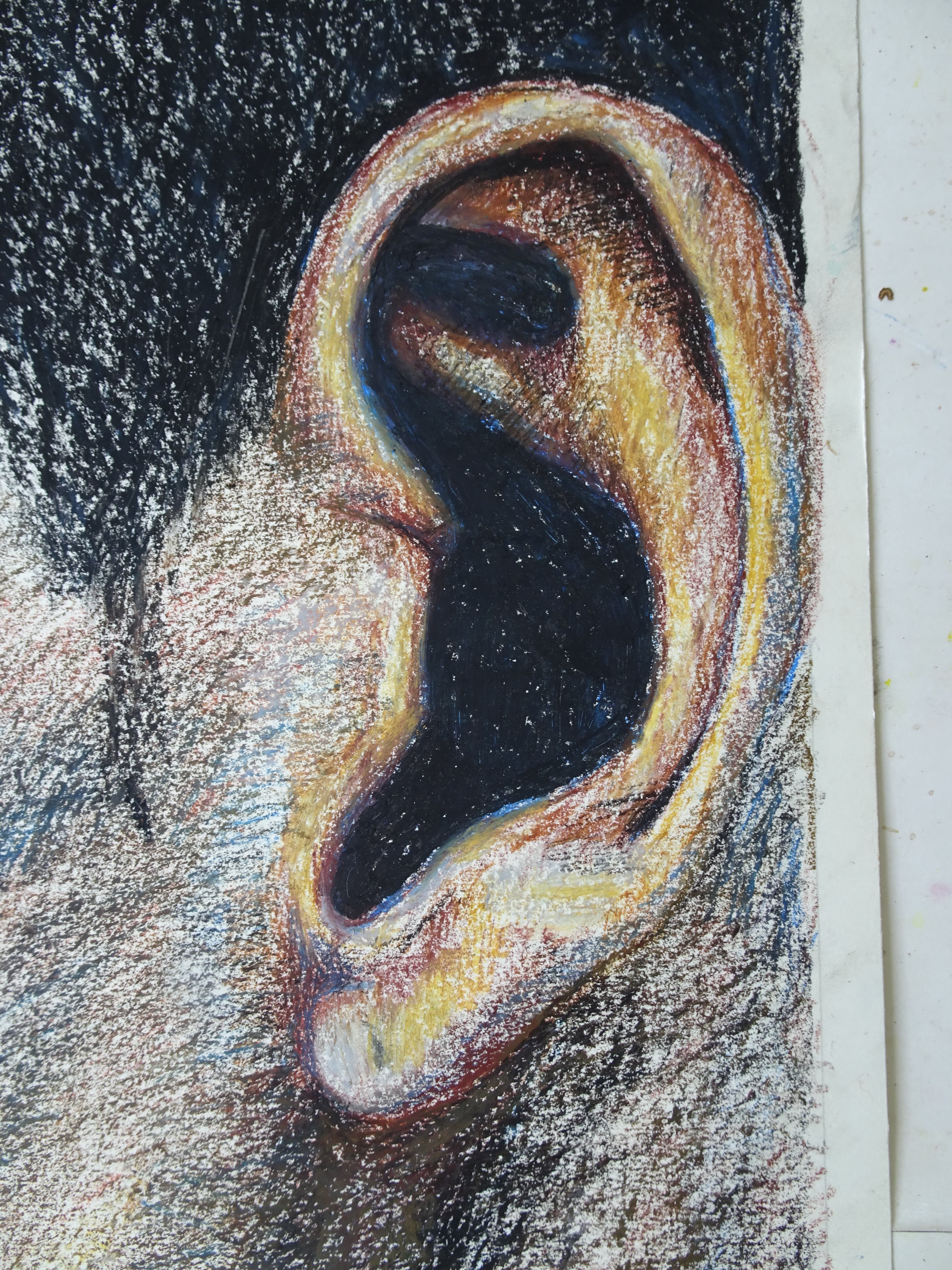 close up of the drawn ear