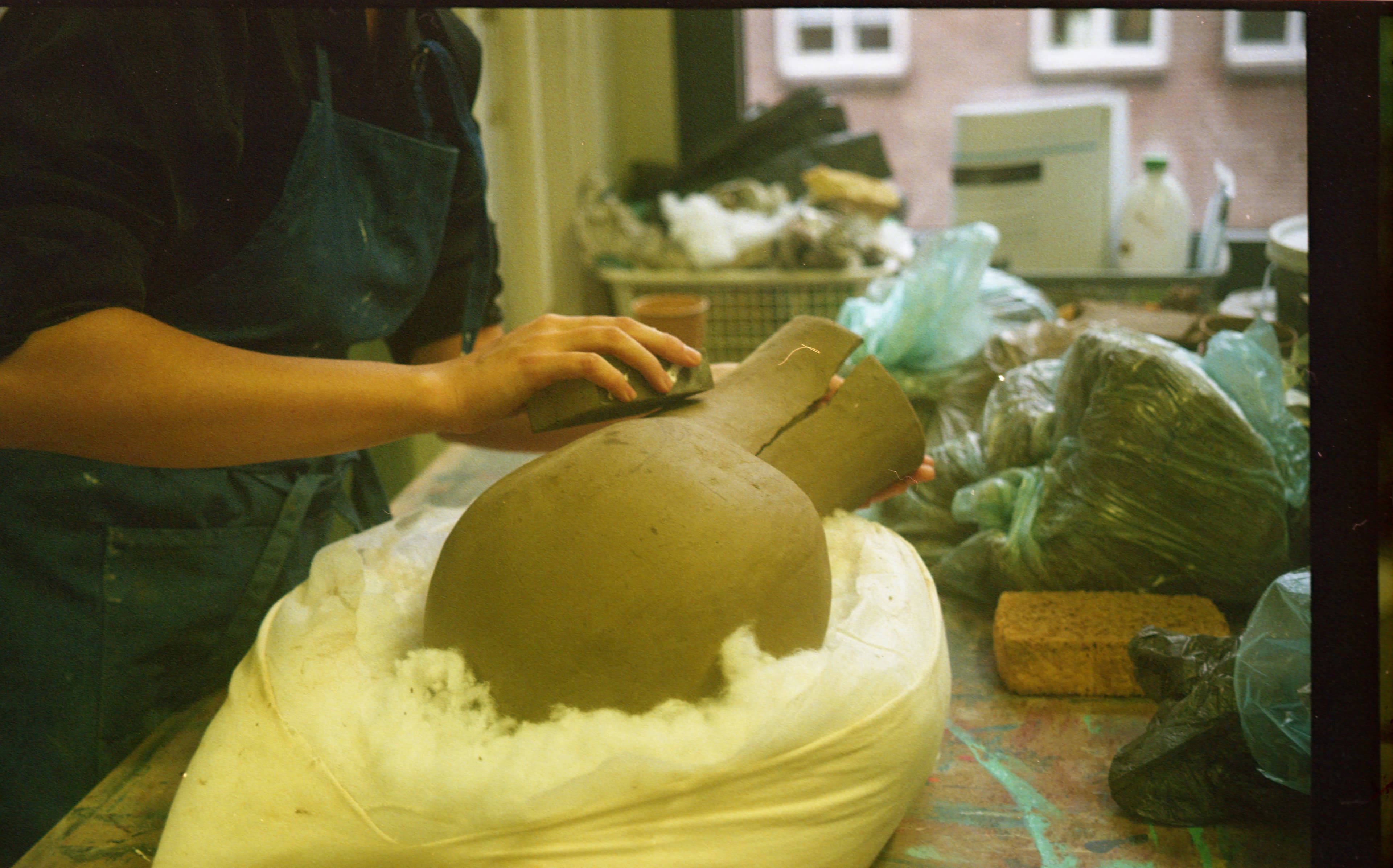 Recent felt membranes- a sprouting bean/ unfinished